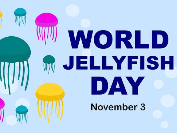 World Jellyfish Day celebrated on November 3 to promote marine biodiversity