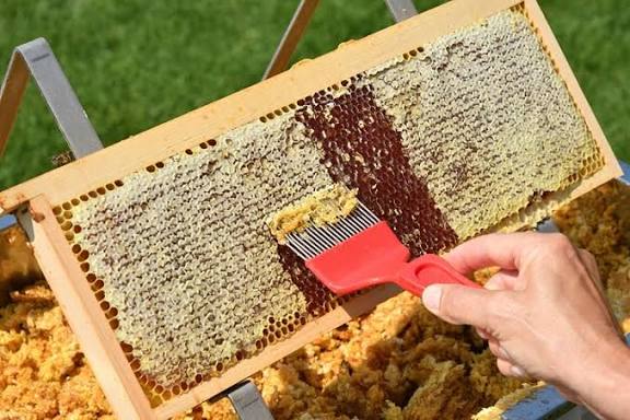 India becomes the world's second-largest exporter of natural honey.