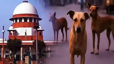 Supreme Court Orders Removal of Stray Dogs from Public Places; Bats for Reform of Colonial-era Property Laws.