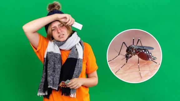 WHO World Malaria Report 2025: India registers decline in cases.