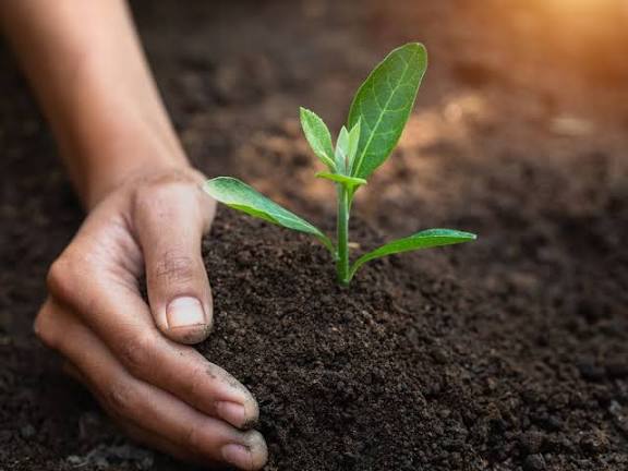 World Soil Day 2025 Observed Globally on December 5.