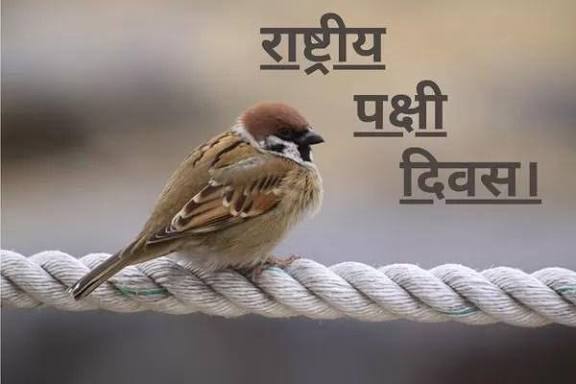 National Bird Day 2026 Observed on January 5.