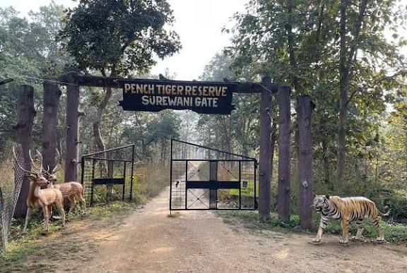 Pench Tiger Reserve Designated as India’s First Dark Sky Park.
