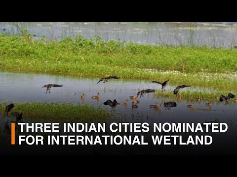 Three Indian Cities Nominated for Wetland City Accreditation.