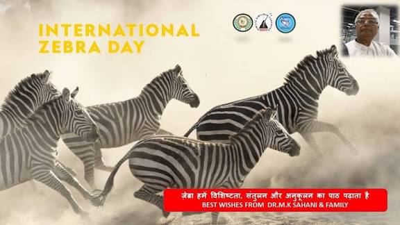 International Zebra Day Observed on January 31.