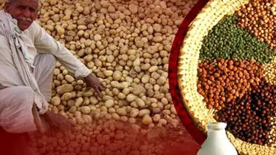 India’s Wholesale Price Inflation (WPI) Eases to 0.27% in January.