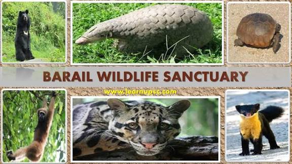 Assam Notifies Borail as New Wildlife Sanctuary.