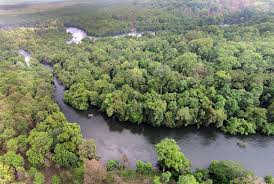 Karnataka Declares Kali Tiger Reserve as Plastic-Free Zone.