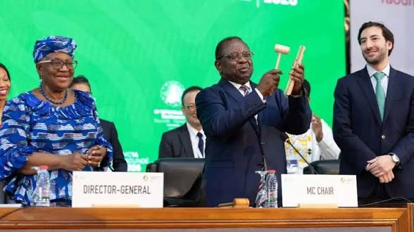 WTO Ministerial Conference Concludes with Digital Trade Pact.