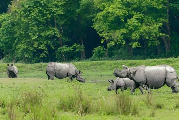 Assam Declares Kaziranga Extension as New Protected Area.