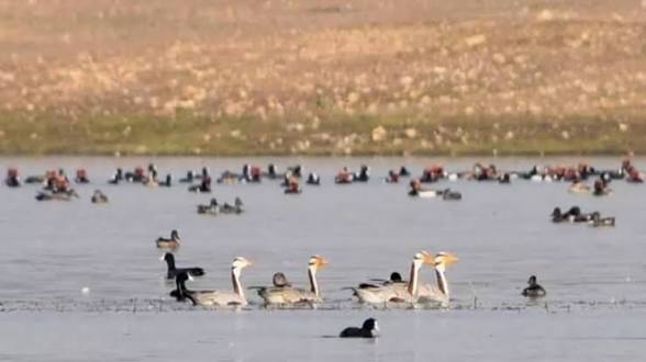 Nagi Bird Sanctuary in Bihar Declared a Ramsar Site.