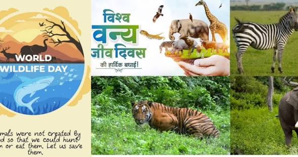 World Aquatic Animal Day 2026 Observed Globally.