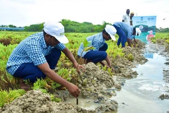 Government Launches MISHTI Phase-2 for Mangrove Conservation.