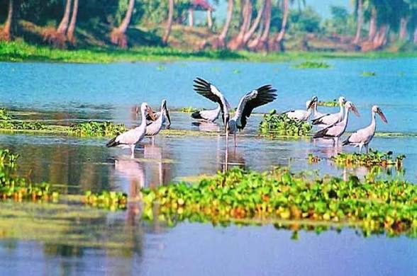 Andhra Pradesh Notifies Kolleru Lake Extension as Protected Wetland.