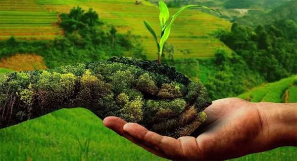 Karnataka Launches Krishi Vikas Digital Portal for Farmers.