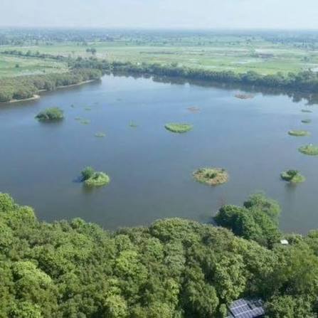 Haryana Notifies Sultanpur Eco-Zone Extension as Protected Wetland.