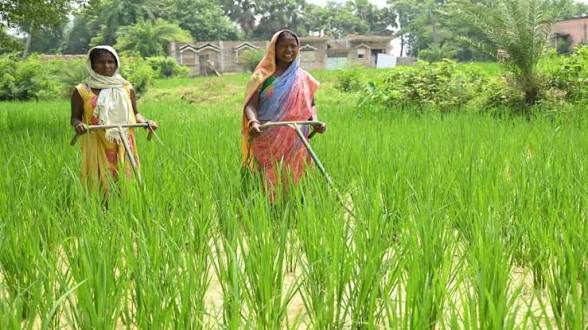 Maharashtra Launches Maha Krishi Loan Scheme for Farmers.