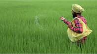 Gujarat Notifies Khadir Bet Extension as Protected Green Industry Zone.