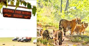 Madhya Pradesh Declares Satpura Extension as Protected Tiger Reserve.