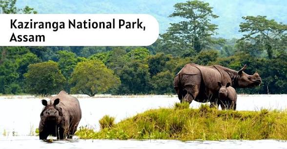 Assam Notifies Kaziranga Buffer Zone Extension as Protected Forest.