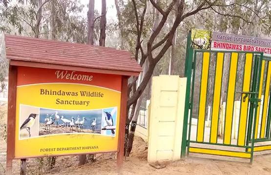 Haryana Notifies Bhindawas Wetland Conservation Extension.