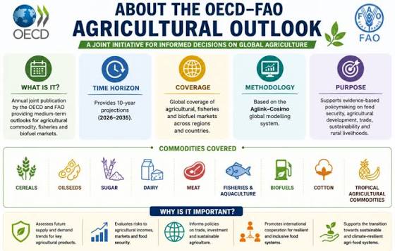 OECD-FAO Agricultural Outlook 2026-2035 Projects <span style="background-color:#fff9c4;font-weight:bold;">Sustained Growth in Global Agriculture</span>.