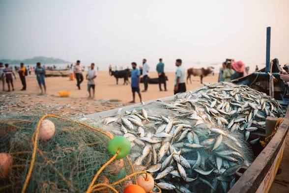<b>FAO's SOFIA 2026 Report</b>: India becomes the world's <b>second-largest aquatic animals producing country</b> after China.