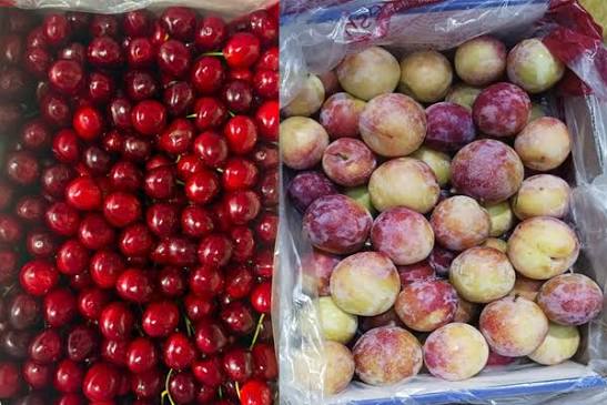 <b>Jammu and Kashmir</b> exports Areco cherries and Centroz plums to <b>Singapore</b>.