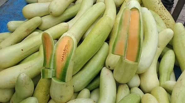 <b>Garadu</b> and <b>Balam Kachri</b> from Madhya Pradesh receive <b>GI tags</b>.