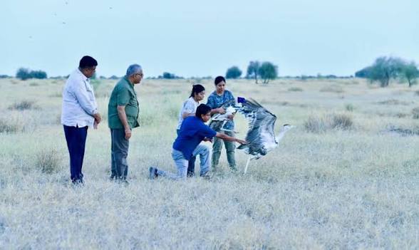 <b>Ten captive-bred Great Indian Bustards released in Jaisalmer.</b>